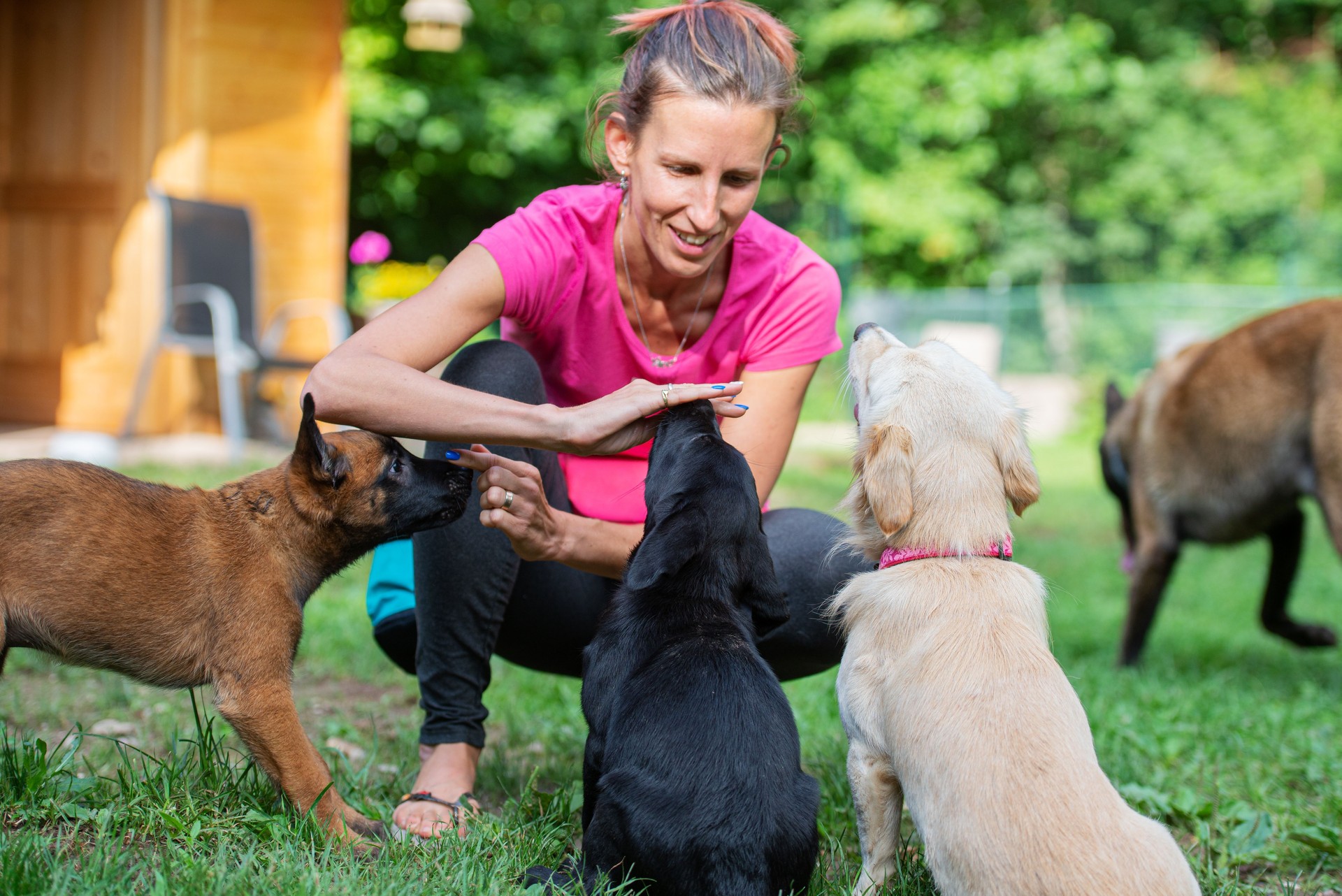 Female canine instructor training three puppies