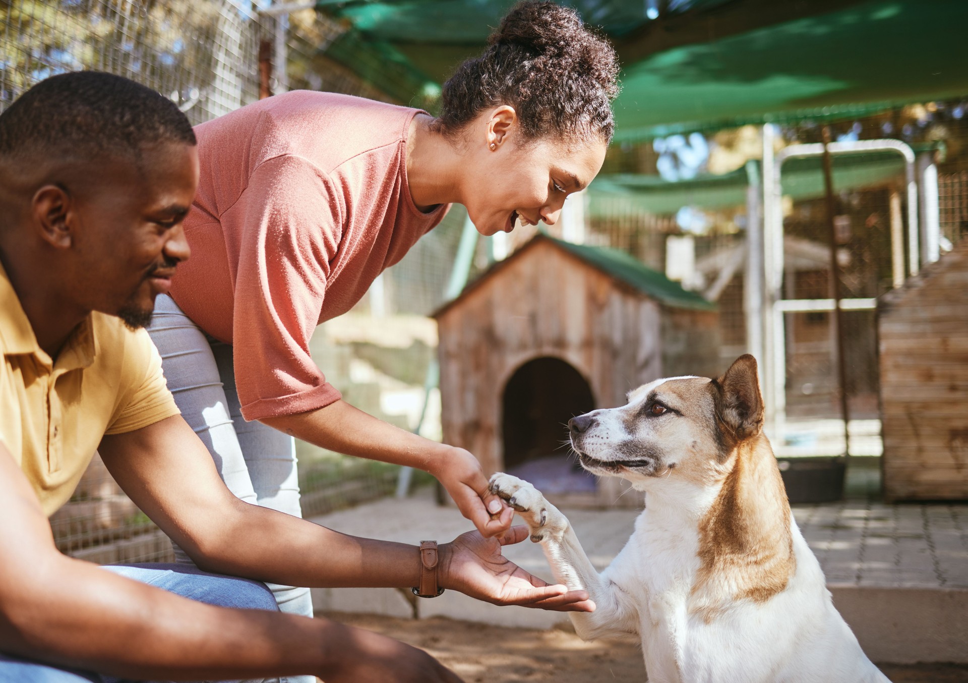 Black couple, love or petting dog in animal shelter, foster kennel or adoption center. Smile, happy or love man and woman bonding and touching pet canine for foster care or community volunteer work